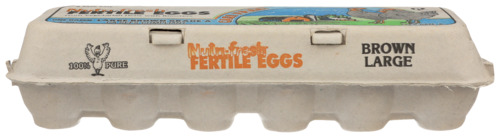Chino Valley Large Brown Grade A Eggs, 1 Dozen