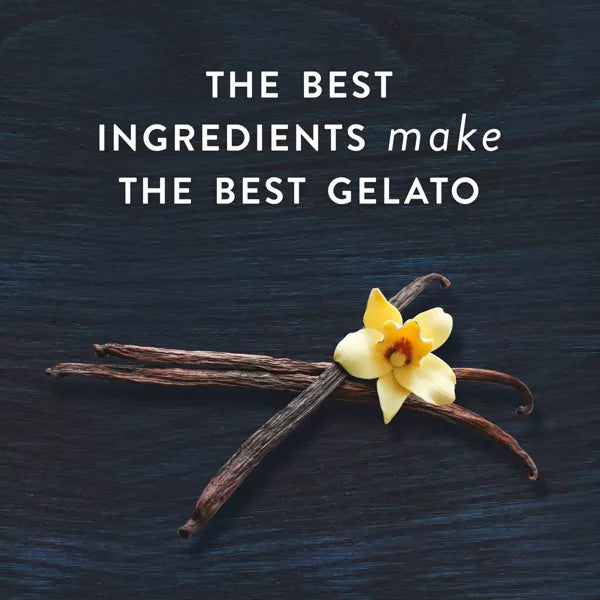 Talenti Madagascan Vanilla Bean Gelato, 16 oz