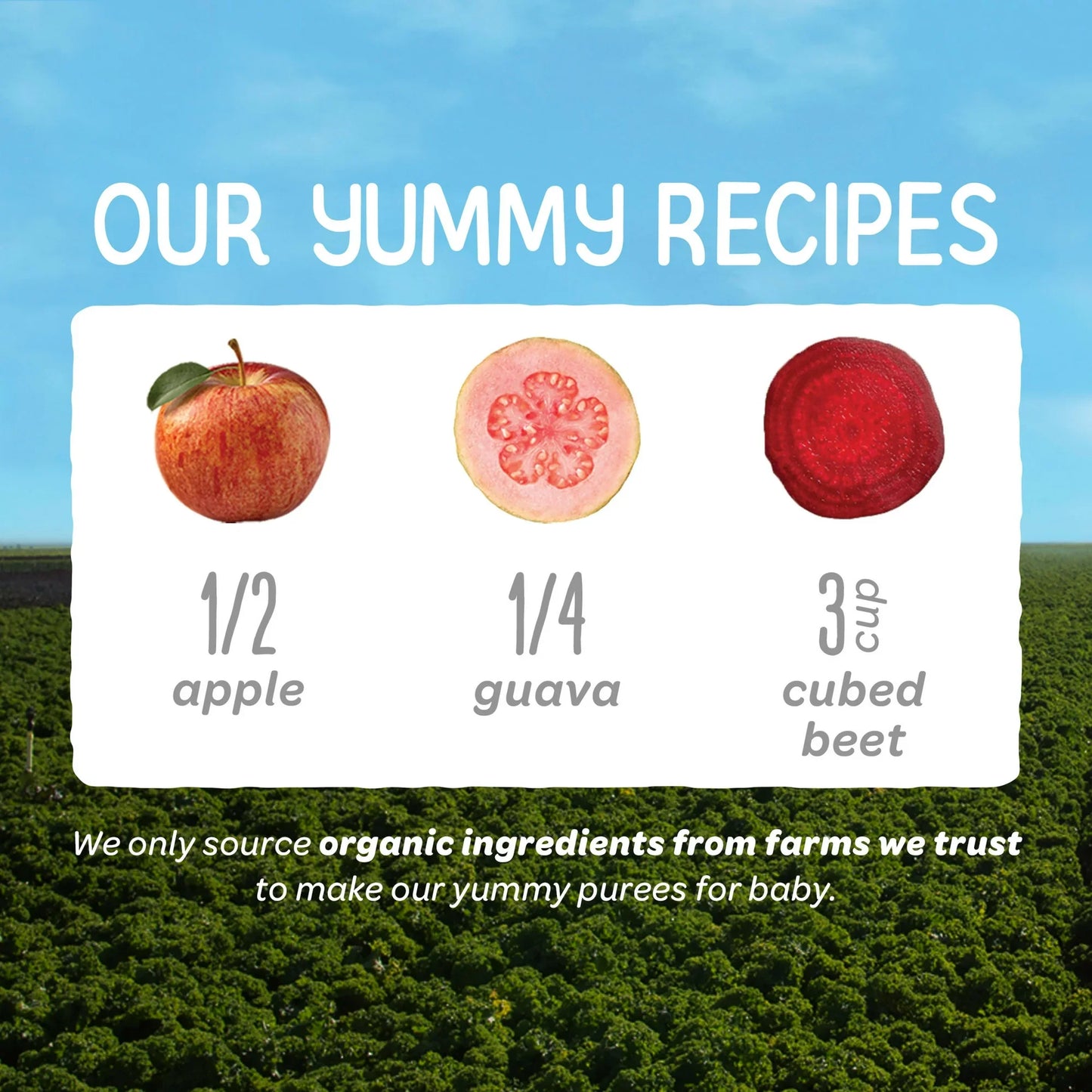 Happy Baby Apple Guava and Beet Baby Food, 4 oz