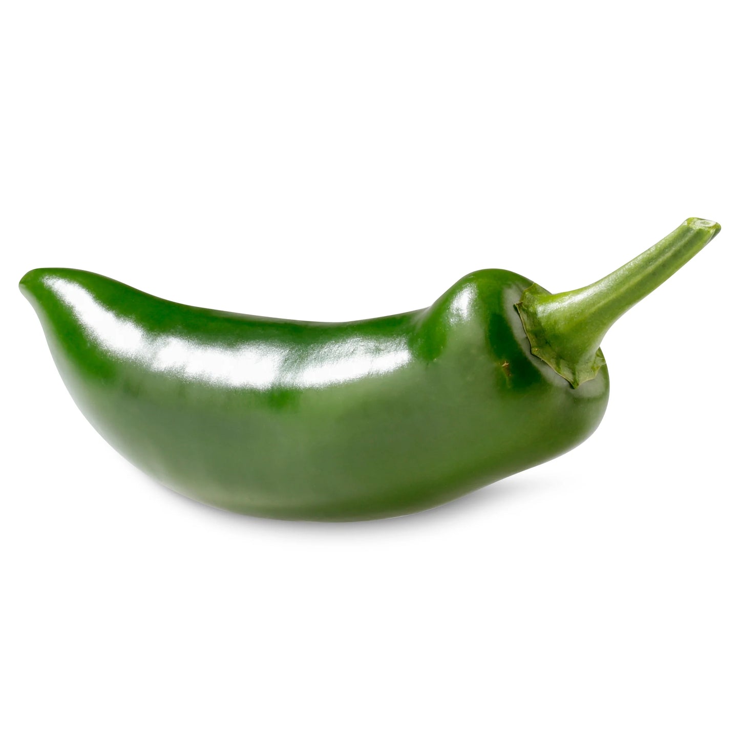 Large Jalapeno Pepper | 1