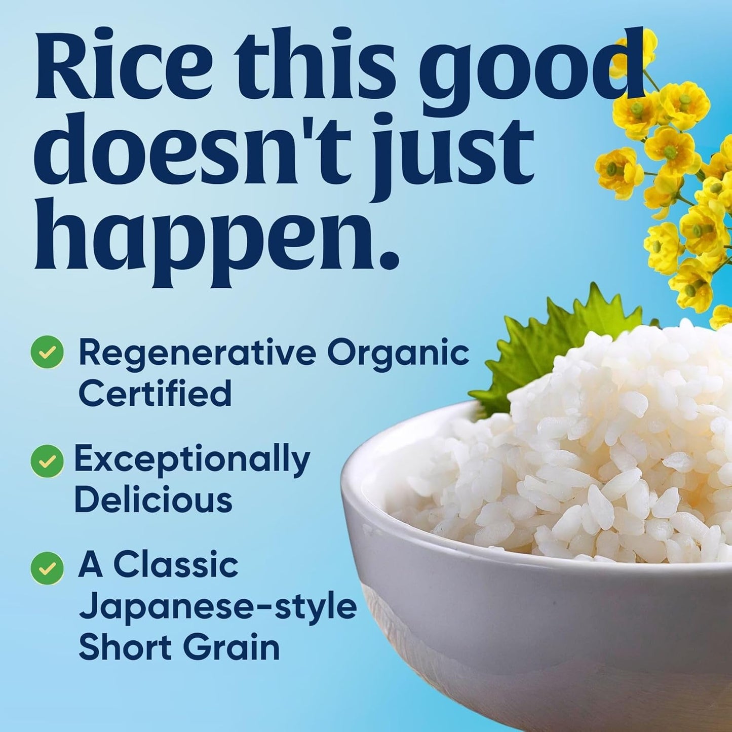 Lundberg Organic Short Grain Sushi Rice, 32 oz