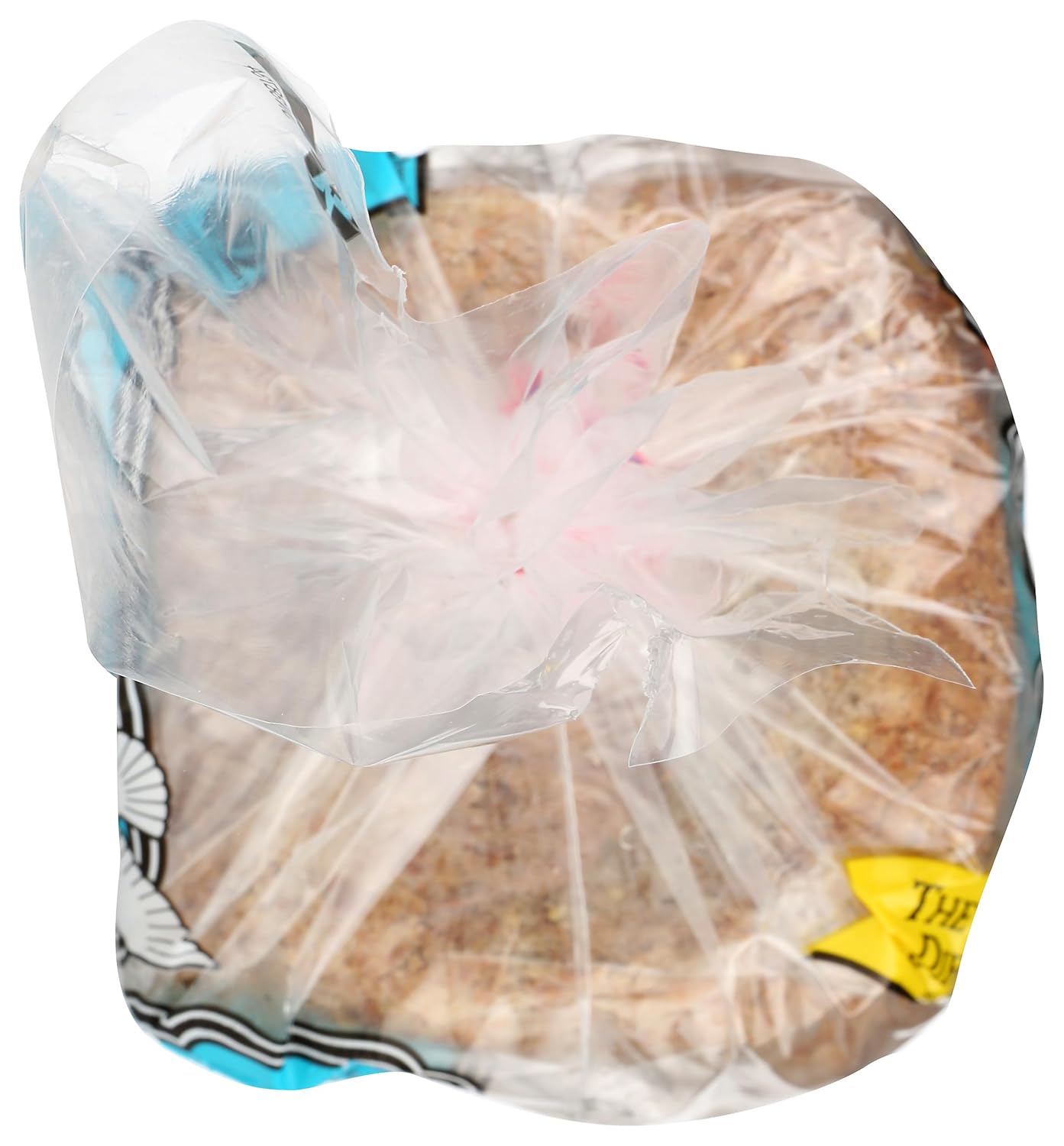 Food For Life Organic Ezekiel 4:9 Sprouted Bread, Low Sodium, 24 oz
