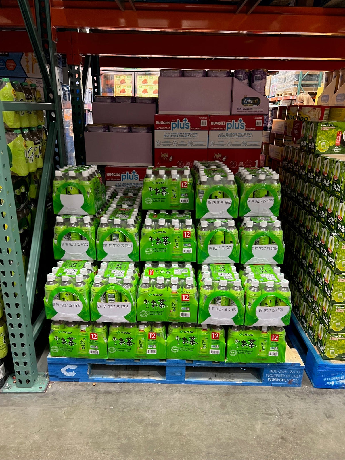 Ito En Oi Ocha Unsweetened Green Tea 12 ct, 16.9 oz