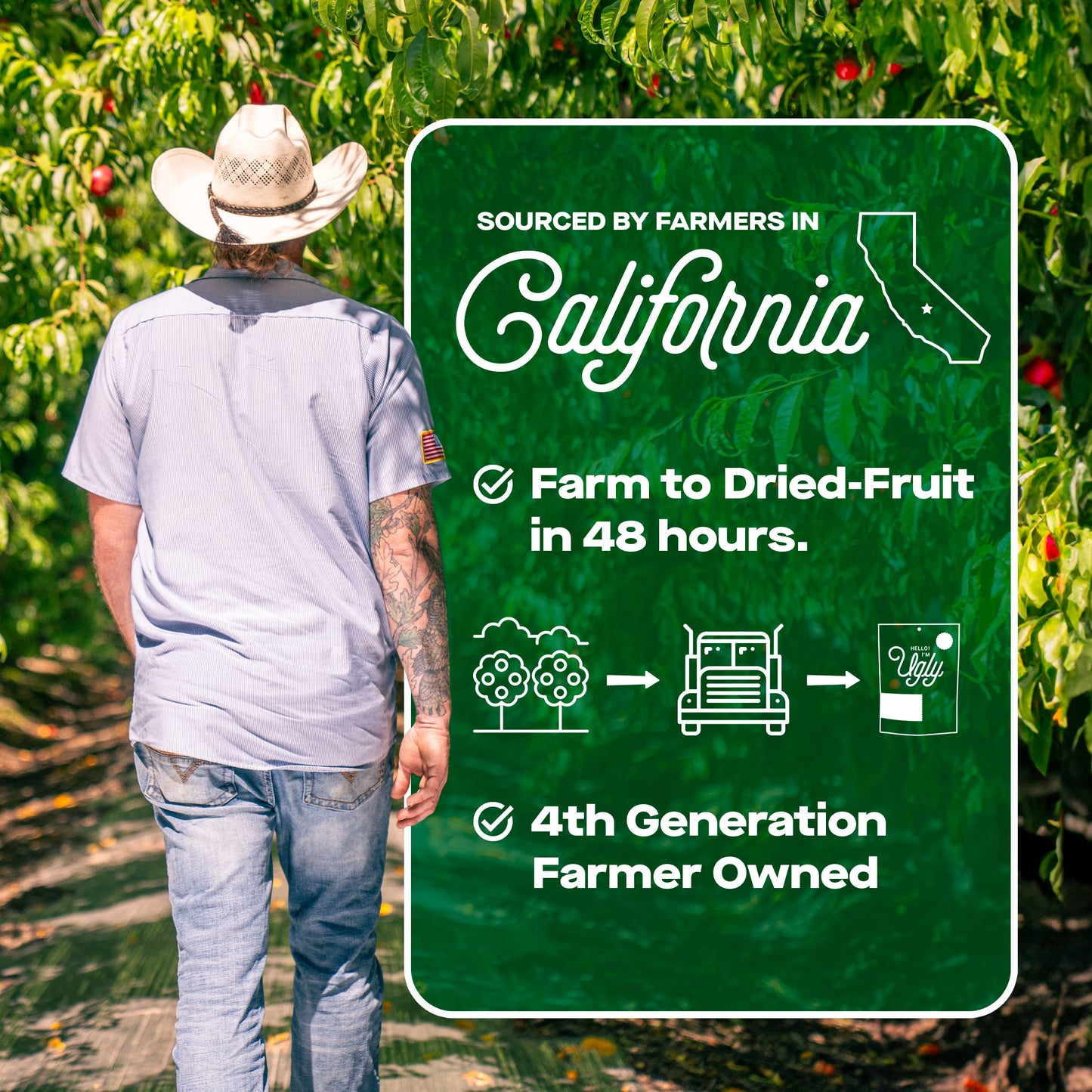 Hello I'm Ugly Dried & Sliced Plums, 3 oz