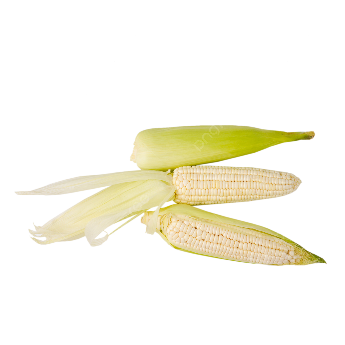 4 Ears of White Corn