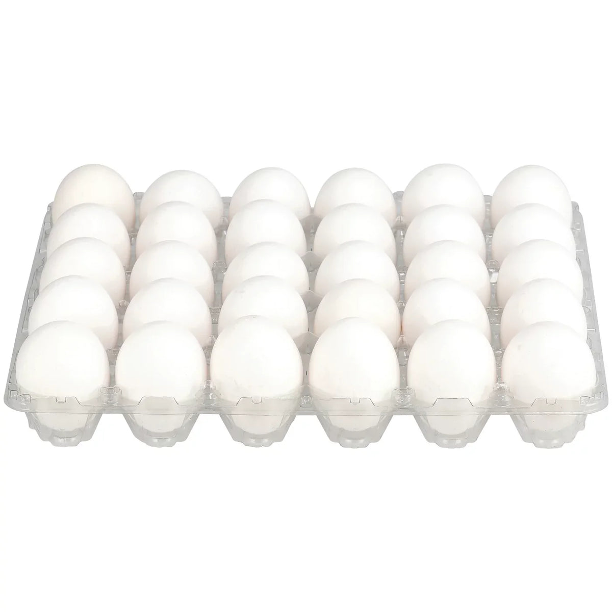 Veruca Large White Cage Free Eggs, Grade A. 24 ct