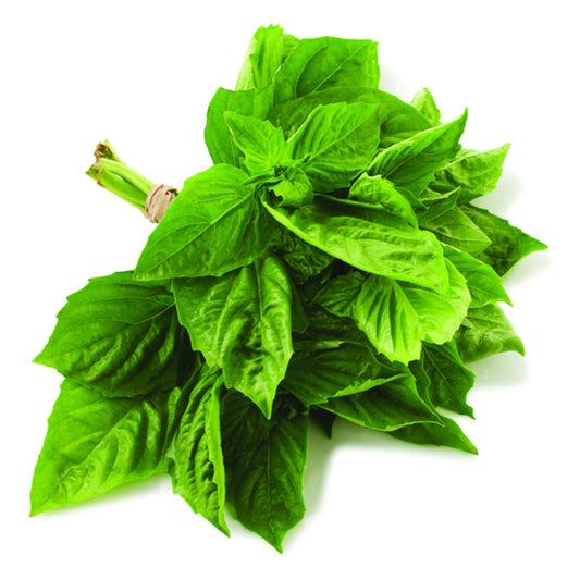 Basil 1oz Clamshell