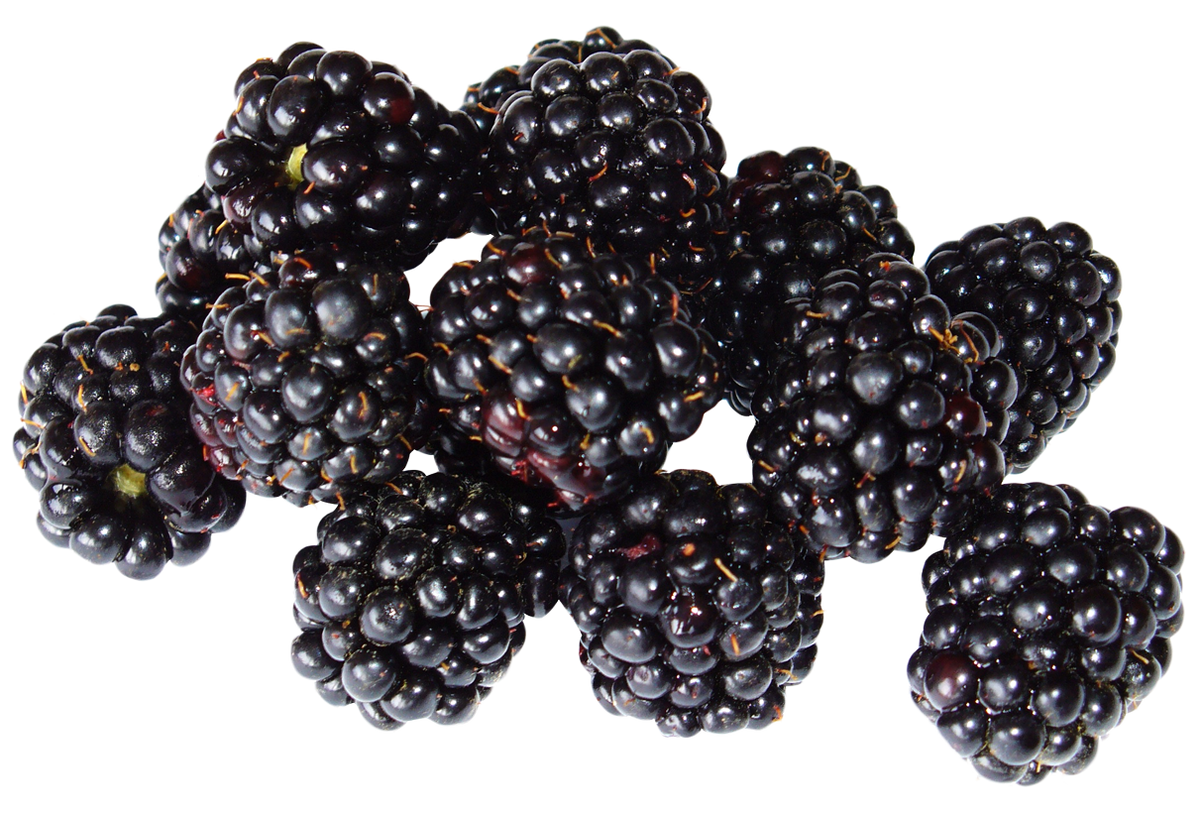 Blackberries, 12 oz