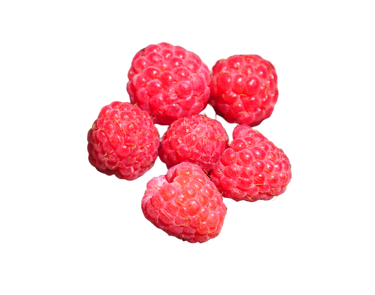 Organic Raspberries, 12 oz