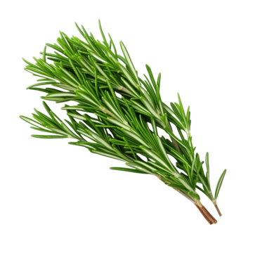 Rosemary Clamshell 1 oz