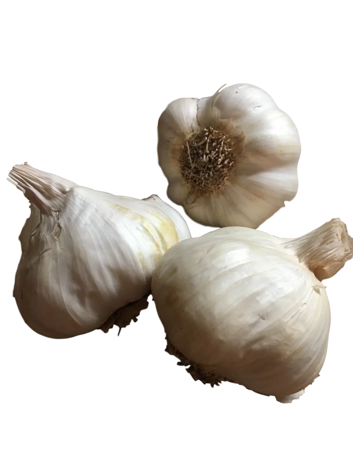 Jumbo Garlic Cloves | 4