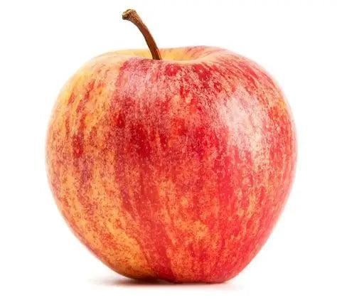 Small Gala Apple | 1