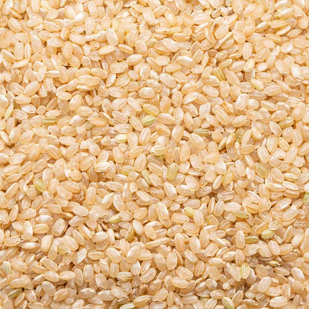 Lundberg Organic Short Grain Brown Rice, 2lb