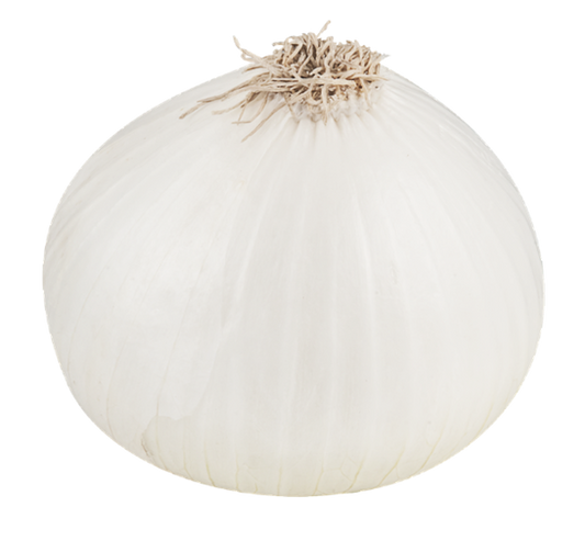 White Onion | 1