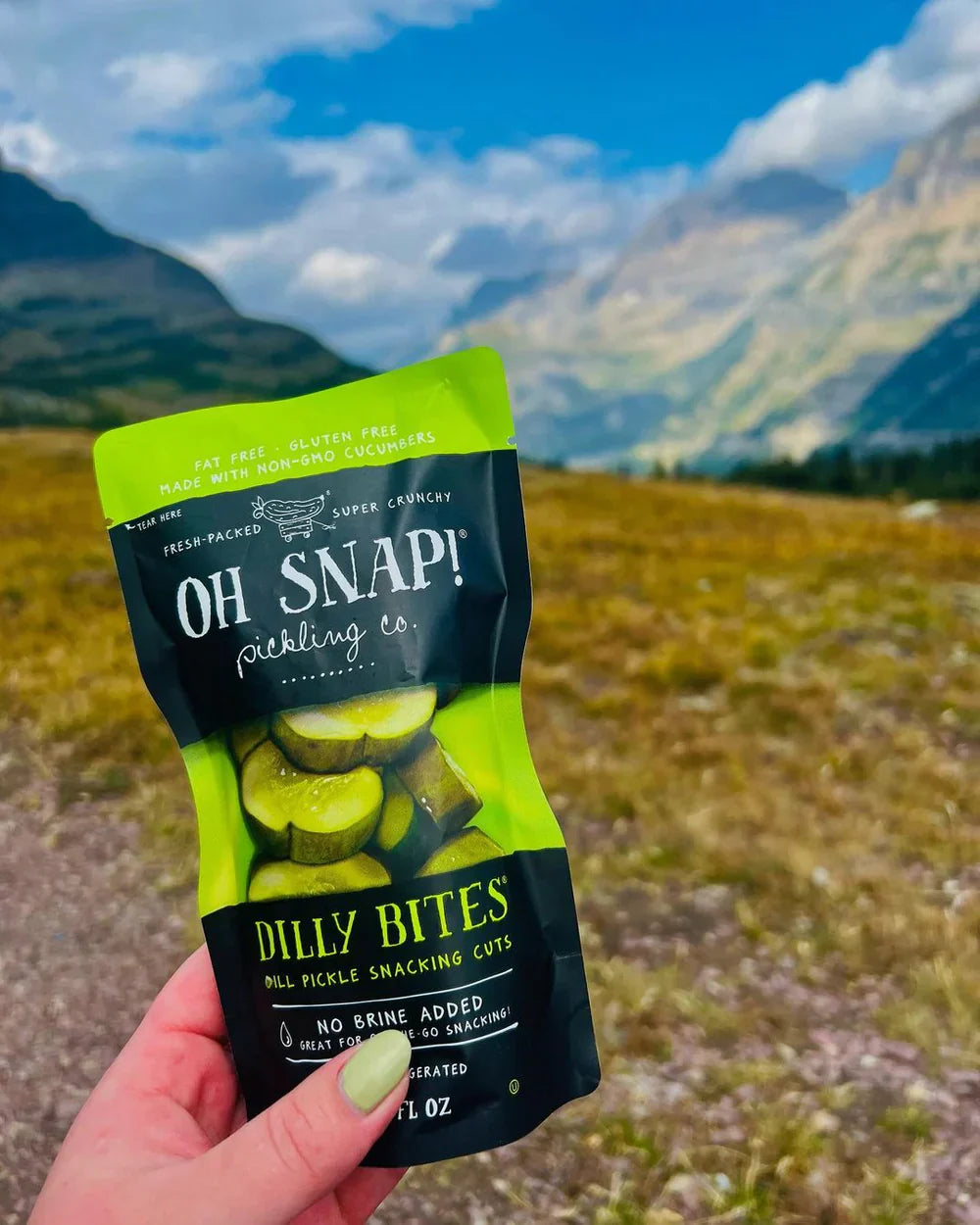 Oh Snap! Dill Pickle Snacking Cuts 3.25 FL oz