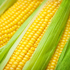 Corn On the Cob | 4 Ears