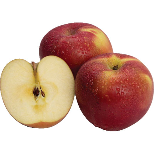 Fuji Apple
