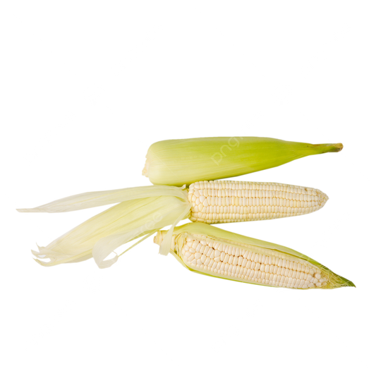 4 Ears of White Corn